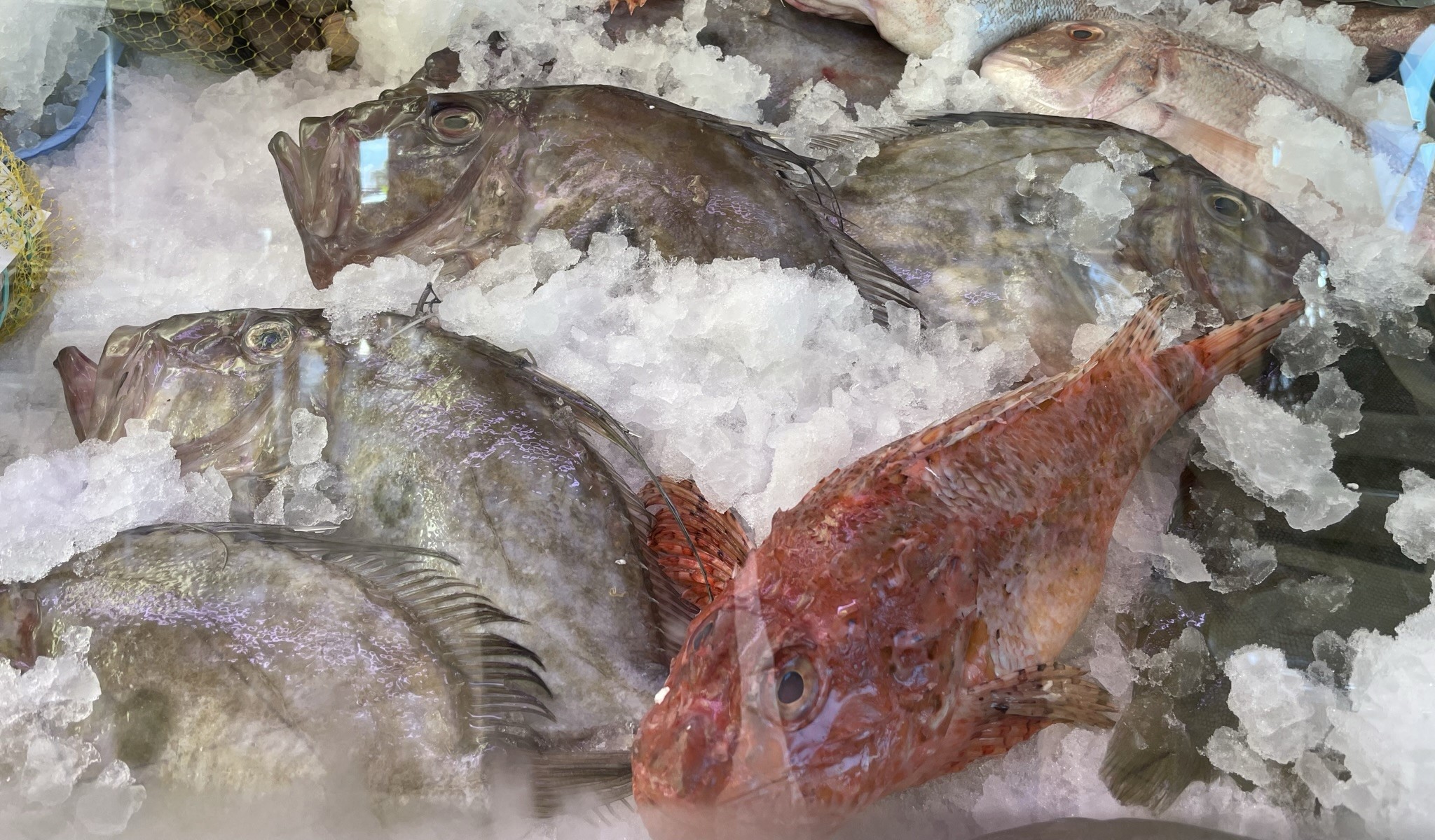 Restaurante Casa Egea en Mojácar, el sabor del Mediterráneo más fresco
